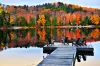 Fall Foliage on a Dime: Affordable Autumn Adventures