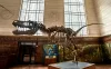 Getting Free Museum Entry with Strategic Planning