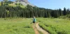 Walking as Your Primary Mode of Transport Free Exercise and Exploration