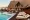 Comparing Accommodation Options Beyond Hotels: Hostels and More