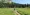 Walking as Your Primary Mode of Transport: Free Exercise and Exploration