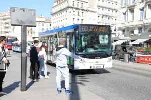 Transportation Options in Cities: Comparing Costs and Efficiency